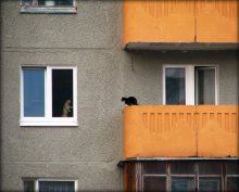 Was ist zu tun? / ***
