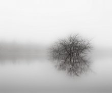 The April mist / .....