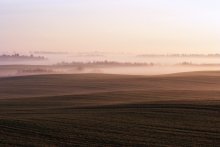 Pink mist / ***