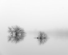 Foggy Morning in April / ***