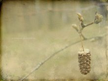 Echos von gestern fallen / .......................