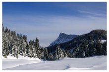 simple landscape / ***