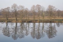 Morning silence / ***