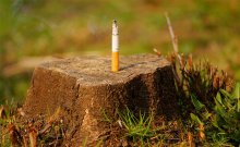 Smoking kills! / ***