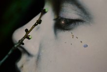 tear / ***
