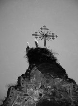 Ruined church / Ruined church