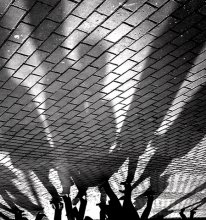 Stomp / ***