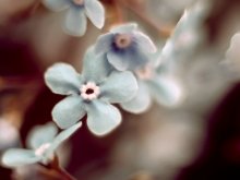 ..spring / .....
