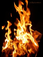 fire / ******