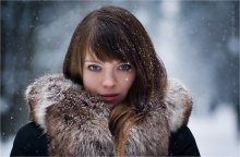 Winter Portrait / ***