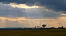 Evening, field .. / ***