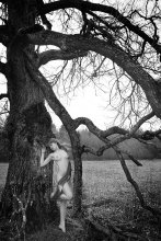 Forest Tale / ***