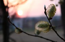 Sunset / ***