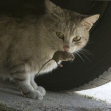 Bergbau / .......