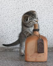 What we've got today? / ***