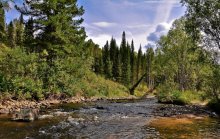 Taiga river / ***