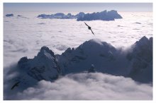 flights in dreams and reality / ***