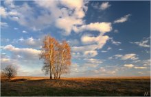 April evening / ***