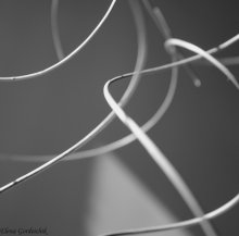 Lines / ***