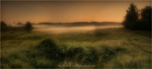 Evening / ***