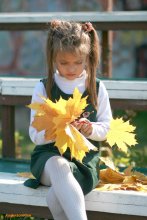 autumn bouquet / ***