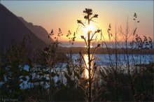 Eine halbe Stunde vor Mitternacht / ***
