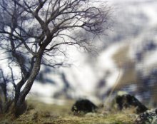 DOF / ***