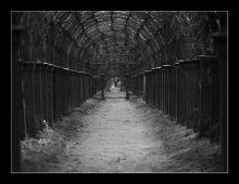 Alley. / ***