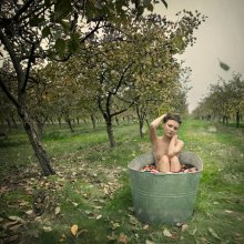 ... autumn / ***