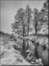 Snow / ***