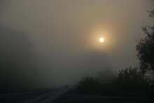 Foggy morning / ***