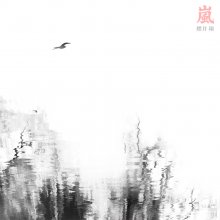 [岚] / ***