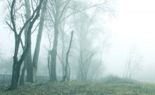 Nebel / ......