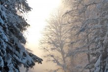 Wo gibt es jetzt die Sonne ... / ***