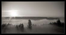 fog / ***