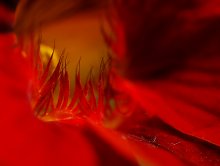 Offenes .... / ***