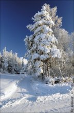 Frosty / ***