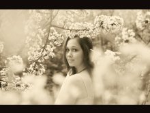 Spring / ***
