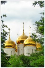 The gold domes / ***
