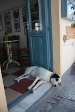 Im Urlaub / ***