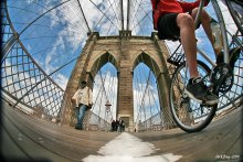 ...on the brooklyn bridge... / keep walking...on the brooklyn bridge...