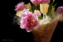 bouquet / ***