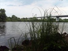 Berezina River / ***