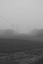 Foggy morning / ***