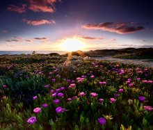 Warm evening. / ...........