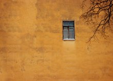 wall / ***