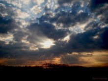 oncoming... / ***