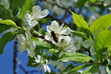 Spring / *********