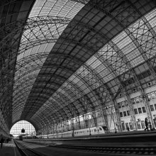 Die Struktur / ***