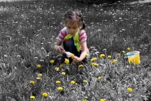 Colour your world itself / ***